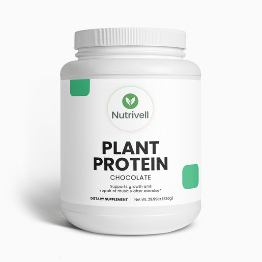 Plant Protein (Chocolate)